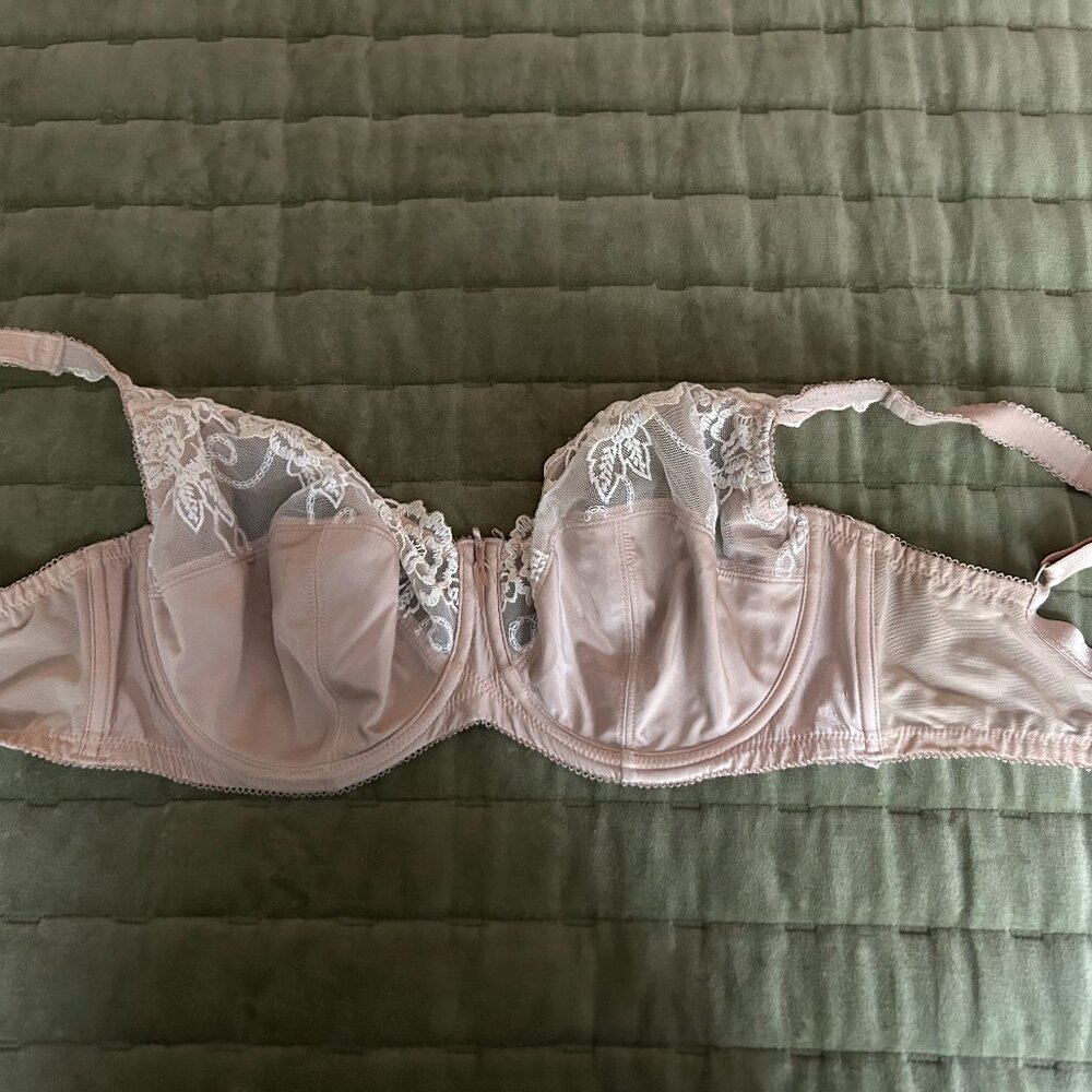 Fayreform Francesca Underwire Bra F75-542 Tan/White 32G